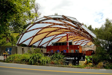 Waitomo-Cave