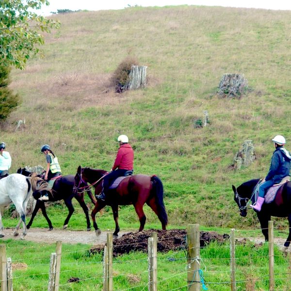 Auckland-Horse-Riding-01