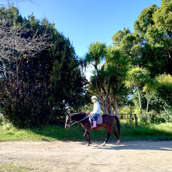 Auckland-Horse-Riding-02