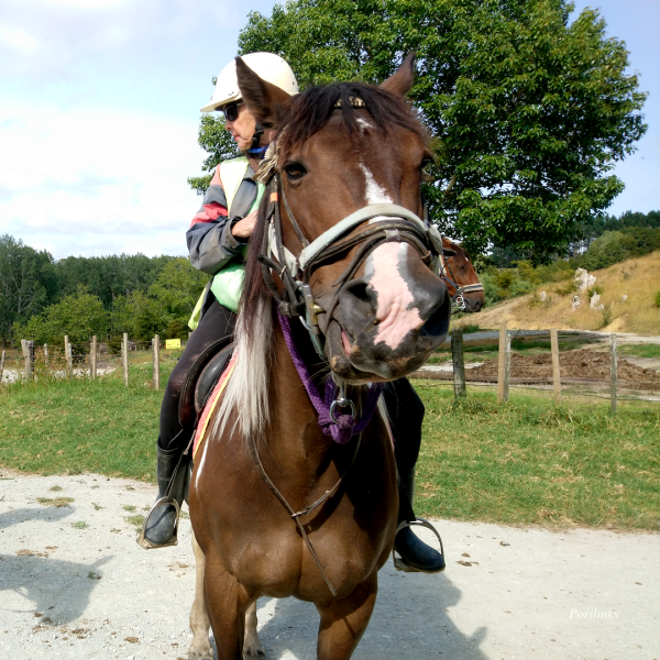 Auckland-Horse-Riding-09