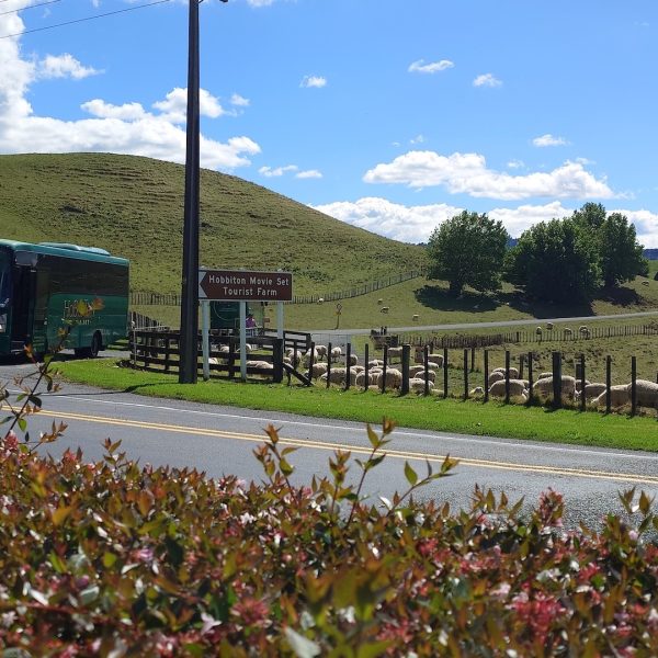 Hobbiton-Bus