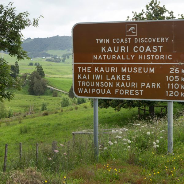 Kauri Museum