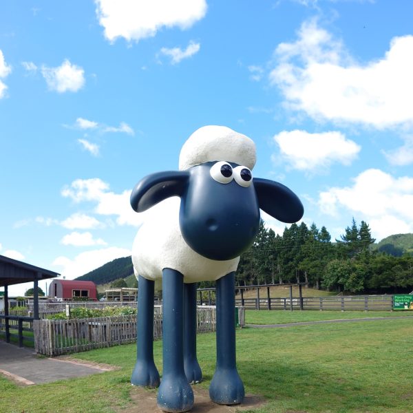 Rotorua-AgroDome