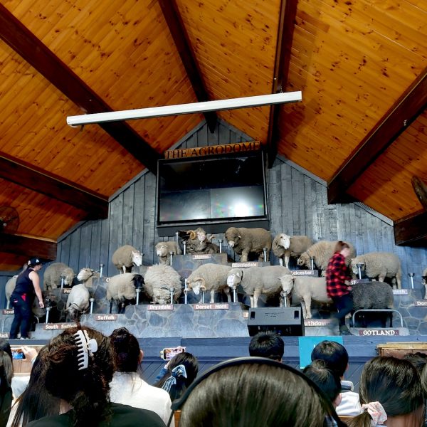 Rotorua-Agrodome