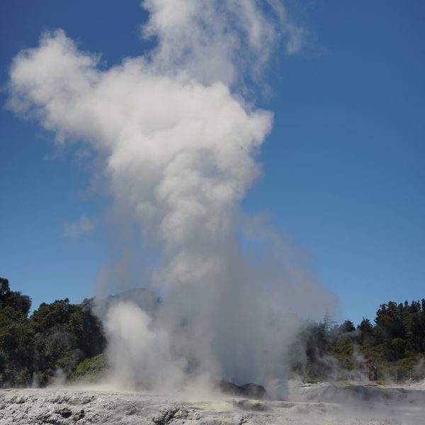 Rotorua-TePuia