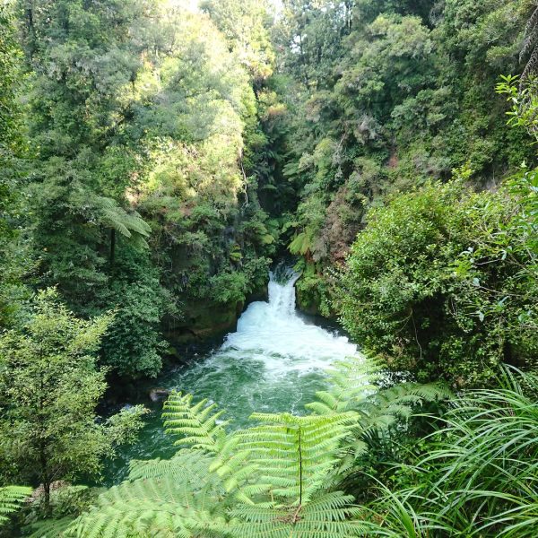 Rotorua-Waterfall-Okere