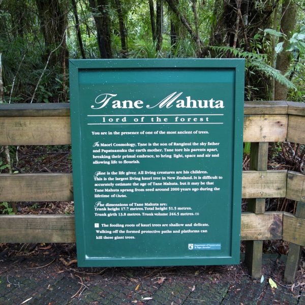 Tane Mahuta