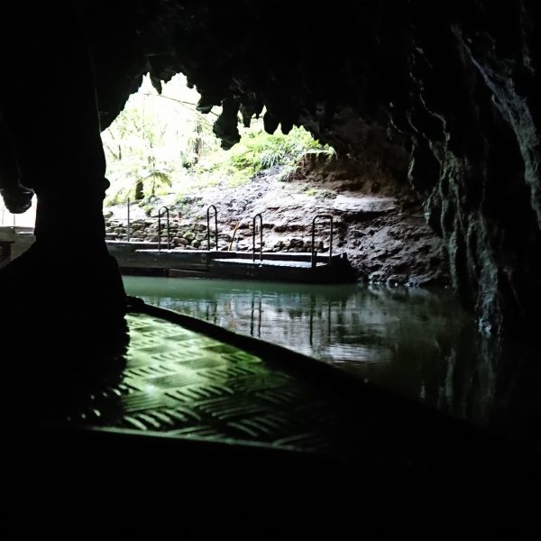 Waitomo-Cave-01