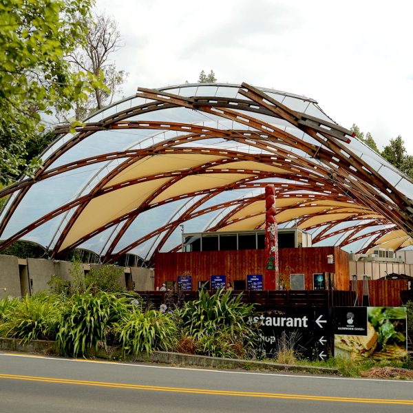 Waitomo-Cave