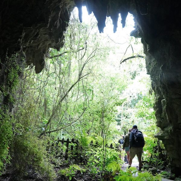 Waitomo-Spellbound-Glowworm-Cave